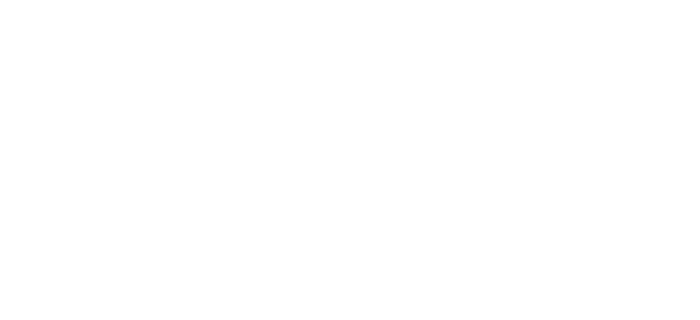 Healthnic logo